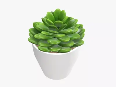 Cactus composition artificial 02 3D model