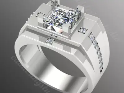 Ring bi151 3D print model