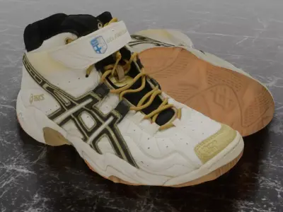 ASICS 3D SHOES - HIGH Low-poly 3D model