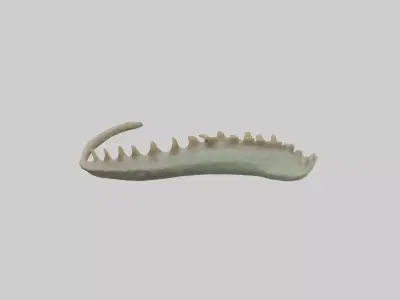 Lizard Spine 2 Low-poly 3D model