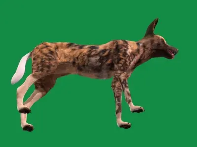 African Wild Dog Low-poly 3D model