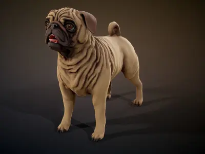 Pug low-poly Low-poly 3D model