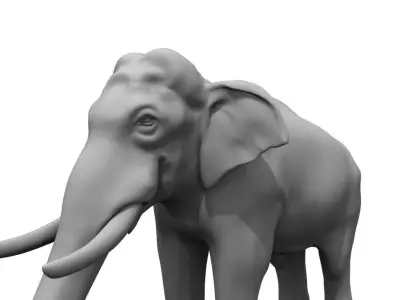 elephant 3d model 3D model purchase