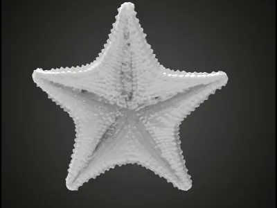 Starfish gold 3D print model