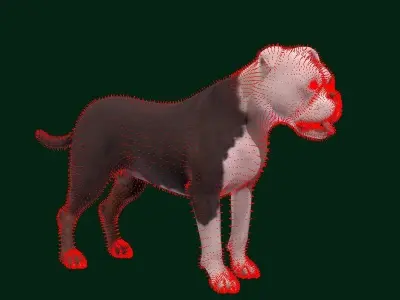 Staffordshire Bull Terrier Dog 3D model