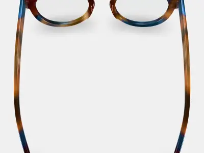 Tal Eyeglasses in Maritime Tortoise 3D model