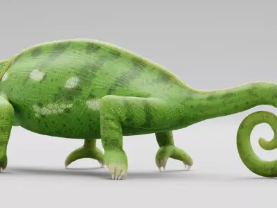 -Flap Necked Chameleon - Chamaeleo Dilepis Rigged- 3D model