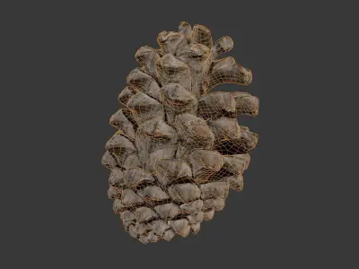 Pine Cone 3D Scan Low-poly 3D model