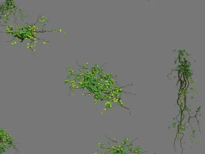Decoration - vines 3D model