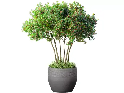 Decorative tree in a modern pot and flowerpot Indoor plant 3D model