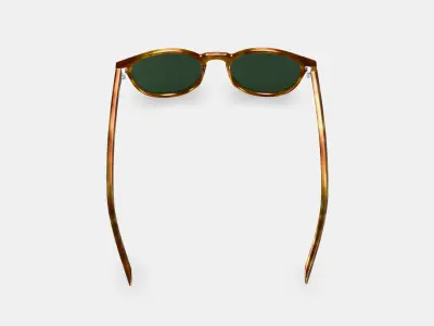 Butler Sunglasses in Butterscotch Tortoise 3D model