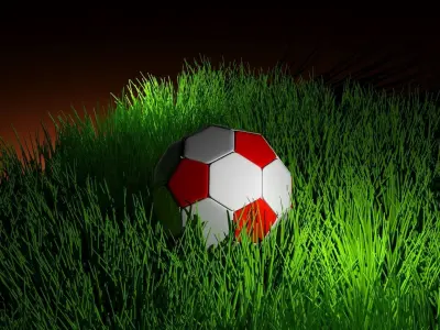 Soccer Ball Free 3D model 10
