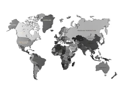 Wooden panel - world map GRAY 3D model