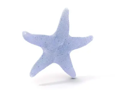 Vibrant Starfish model pack Low-poly 3D model