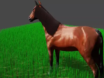 horse male 3D model