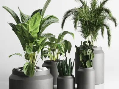 collection Indoor plant 33-concrate-vase Low-poly 3D model