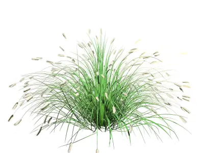Little Bunny Fountain Grass 3d collection Low-poly 3D model