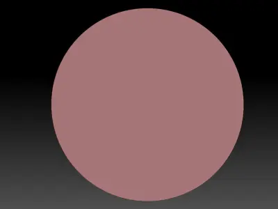 Hummingbird bird 3D print model