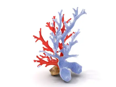 Red Coral Reef model pack Low-poly 3D model