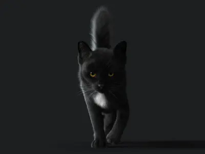Cat Black ANIMATED  YETI version 3D model