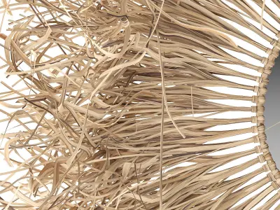 Raffia Ring 3D model