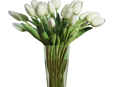 Flower Set 17 - White Tulips Bouquet 3D model