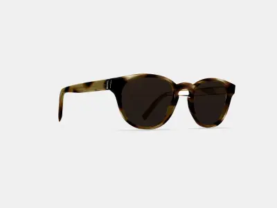 Percey Sunglasses in Striped Sassafras 3D model