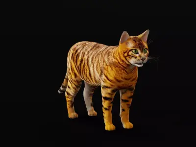 Toyger Cat Low-poly 3D model