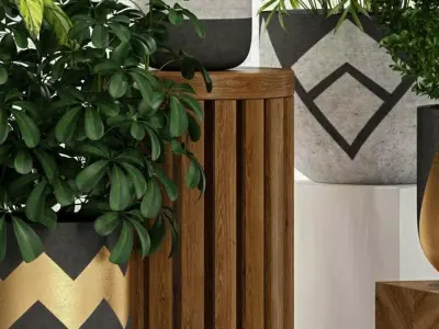 plant potted green Modern combination 3D model