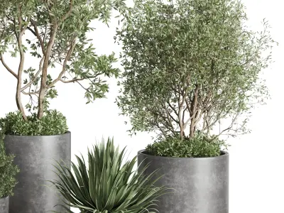 outdoor plant set 160 pot old tree bush palm in Low-poly 3D model