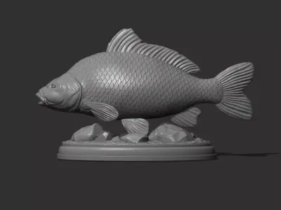 Carp fish on the base 3D print model