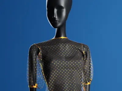 Zara Plumeti Embroided Top Manneqin 3D model