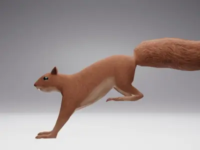 Low Poly Squirrel 3D model with texture and Rigg Low-poly 3D model