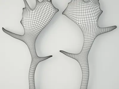 Naturally Shed Moose Antlers 3D model
