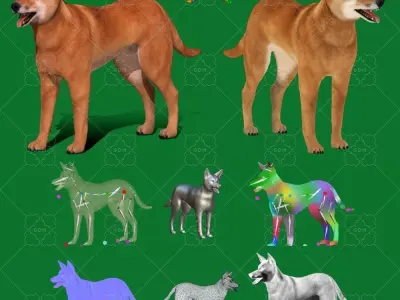 Dingo Dog Low-poly 3D model