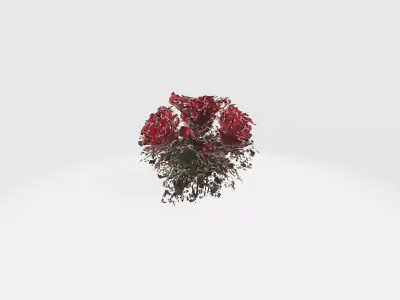 red rose flowers Low-poly 3D model