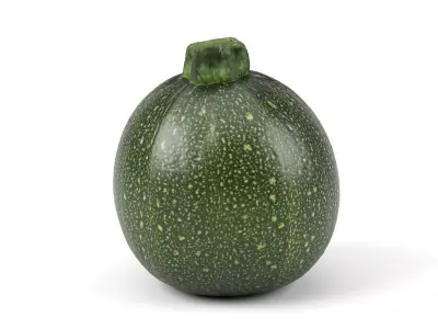 Photorealistic Round Zucchini 3D Scan 3D model