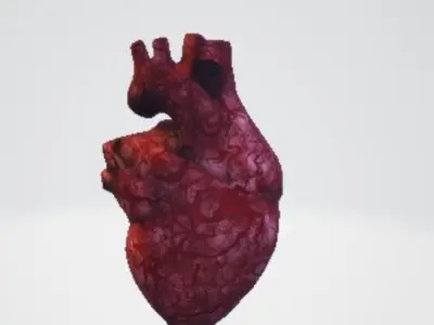 Realistic and Symbolic Heart - Beating and Still Variants Free low-poly 3D model