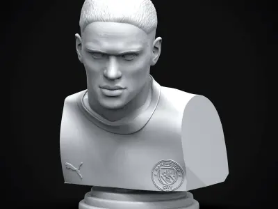 Erling Haaland 3D Printable Bust 3D print model