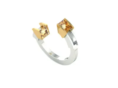 Antiphelus Ring Free 3D print model