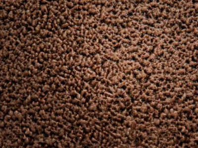 Minced Meat PBR Texture Texture