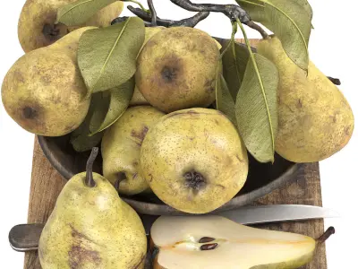 fruit set collection 04 3D model