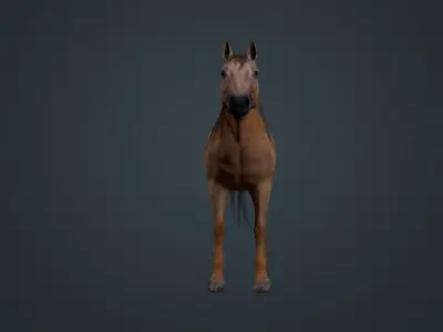 Game Asset PBR Texture Horse  Low-poly 3D model