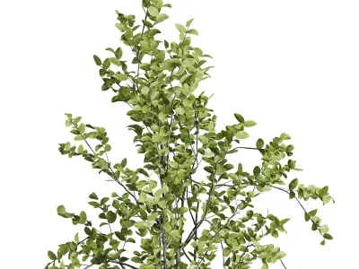 branch Tree in a concrete dirty vase set indoor plant 392 Low-poly 3D model