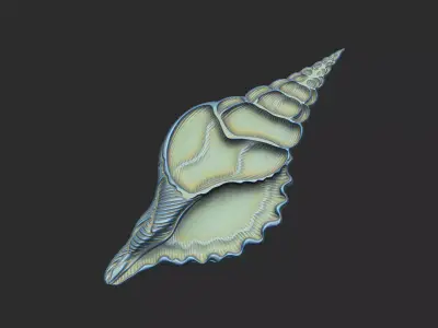 Shell cross section cnc aspire artcam V relief print engrave 3D print model