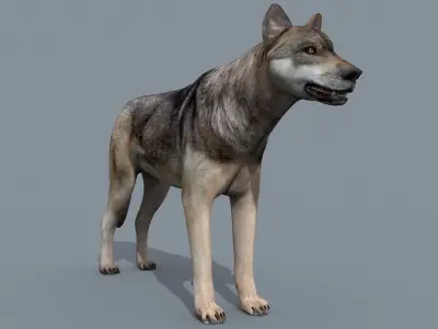 My Wolf - 3d animated wolf model Low-poly 3D model