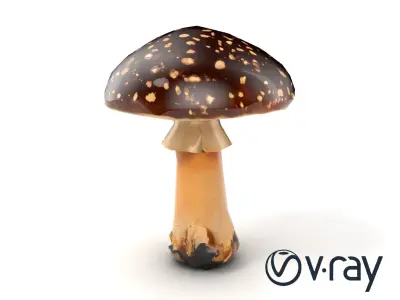 Realistic Forest Mushroom Model Pack with Textured Details Low-poly 3D model