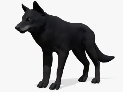 WOLF realistic Low-poly 3D model