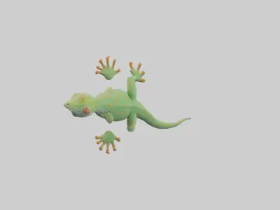 Gecko climbing wall model Low-poly 3D model