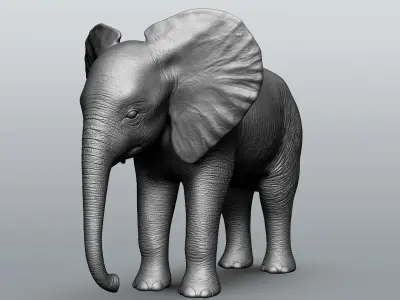 Wild Baby animal collection  5 animals 3D model